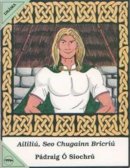 Padraig O Siochru - Aililiu, Seo Chugainn Briciu (Irish Edition) - 9781900693608 - V9781900693608