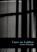Lorcan O Treasaigh - Cnoc Na Lobhar (Irish Edition) - 9781901176735 - V9781901176735