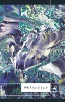 Robin Llywelyn - White Star - 9781902638317 - V9781902638317