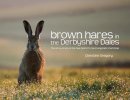 Christine Gregory - Brown Hares in the Derbyshire Dales: The Story of One of the Peak District's Most Enigmatic Mammals - 9781906148560 - V9781906148560