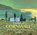 Ray Balkwill - A Picture of Cornwall: Contemporary Artists and the Inspirational Landscape - 9781906690236 - V9781906690236