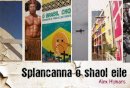 Alex Hijmans - Splancanna O Shaol Eile (Irish Edition) - 9781907494376 - V9781907494376