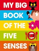 Patrick George - My Big Book of the Five Senses - 9781908473110 - V9781908473110