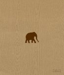 Casey - The Wood That Doesn´t Look Like an Elephant: The Chase - 9781911164098 - V9781911164098