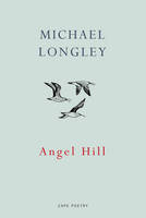 Michael Longley - Angel Hill - 9781911214083 - V9781911214083