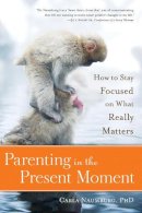 Carla Naumburg - Parenting in the Present Moment - 9781937006839 - V9781937006839