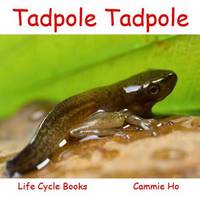 Cammie Ho - Tadpole Tadpole - 9781943241019 - V9781943241019