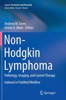 Andrew Evens (Ed.) - Non-Hodgkin Lymphoma: Pathology, Imaging, and Current Therapy - 9783319352152 - V9783319352152