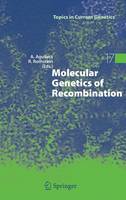  - Molecular Genetics of Recombination (Topics in Current Genetics) - 9783540710202 - V9783540710202