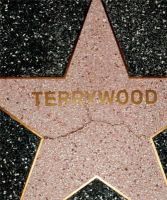 Terry Richardson - Terry Richardson: Terrywood - 9788862082518 - V9788862082518