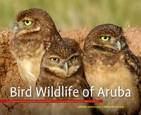 Gregory Peterson - Bird Wildlife of Aruba - 9789460223730 - V9789460223730
