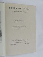 C. Mccann - Trees of India: a Popular Handbook -  - KEX0269941